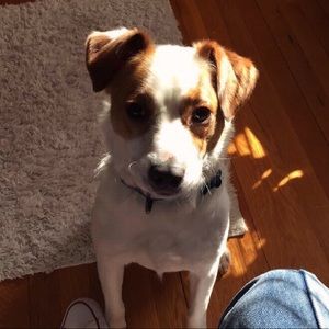 Meet your Posher, Renae